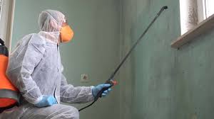 Best Mold Odor Removal Services  in Checotah, OK